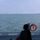 滴水湖壹号码头 - 上海市旅游 缩略图 7