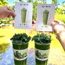 三亚夏日百货 - 三亚市旅游 缩略图 5