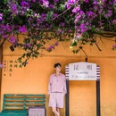 东西寺塔 - 昆明市旅游 缩略图 6