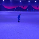 阿尔卑斯雪世界 - 苏州旅游 缩略图 3