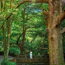 江湾景区 - 上饶市旅游 缩略图 3
