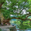 江湾景区 - 上饶市旅游 缩略图 1
