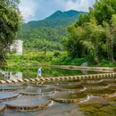 江湾景区 - 上饶市旅游 缩略图 8