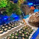 CGV星星国际影城(佛山十亩地IMAX店) - 佛山市旅游 缩略图 5