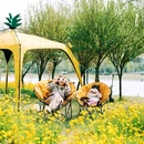 祥茂河湿地公园 - 青岛市旅游 缩略图 4