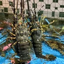 吴记·潮汕·海鲜砂锅粥(东二环泰禾广场店) - 福州市旅游 缩略图 8
