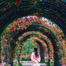 通州花仙子万花园 - 北京市旅游 缩略图 5
