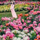 通州花仙子万花园 - 北京市旅游 缩略图 3