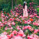 通州花仙子万花园 - 北京市旅游 缩略图 4
