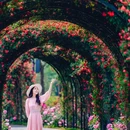通州花仙子万花园 - 北京市旅游 缩略图 8