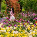 通州花仙子万花园 - 北京市旅游 缩略图 6