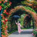 通州花仙子万花园 - 北京市旅游 缩略图 9
