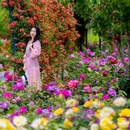 通州花仙子万花园 - 北京市旅游 缩略图 7