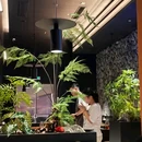 三亚夏日百货 - 三亚市旅游 缩略图 3