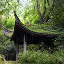 城杨村 - 宁波市旅游 缩略图 7
