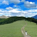 川西竹海景区 - 成都市旅游 缩略图 1