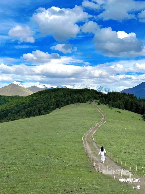 川西竹海景区 - 成都市旅游
