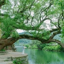 察关村 - 上饶市旅游 缩略图 1