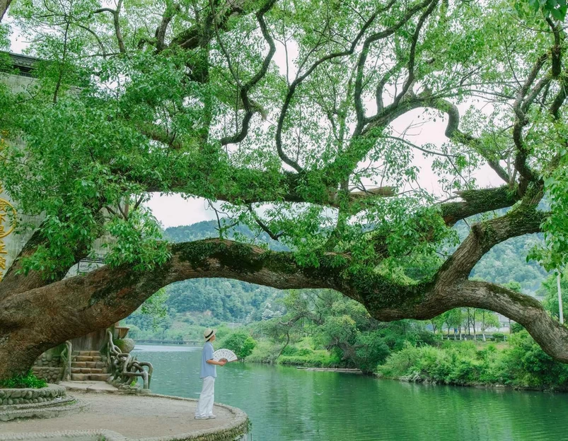察关村 - 上饶市旅游 1