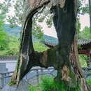 察关村 - 上饶市旅游 缩略图 9