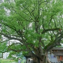 察关村 - 上饶市旅游 缩略图 8