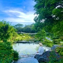 东莞植物园 - 东莞旅游 缩略图 9