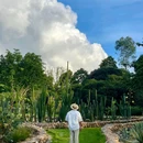 东莞植物园 - 东莞旅游 缩略图 8