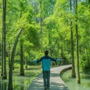 大山冲森林公园 - 长沙市旅游 缩略图 3