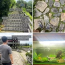 南洋312平洞矾矿遗址 - 温州市旅游 缩略图 9