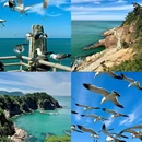 威海公园 - 威海市旅游 缩略图 6