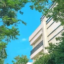北油坊巷 - 合肥市旅游 缩略图 4