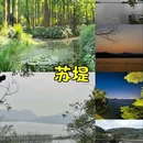 德悦悦品海鲜姿造(未来科技城宝龙广场店) - 杭州市旅游 缩略图 4
