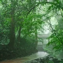虎跑公园 - 杭州市旅游 缩略图 3