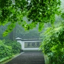 虎跑公园 - 杭州市旅游 缩略图 5