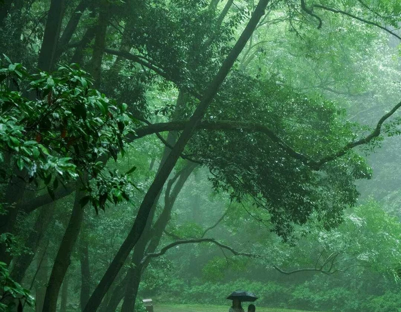 虎跑公园 - 杭州市旅游 1