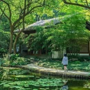 九溪十八涧 - 杭州市旅游 缩略图 5
