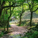 九溪十八涧 - 杭州市旅游 缩略图 3