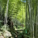 天目湖南山竹海景区 - 常州市旅游 缩略图 4