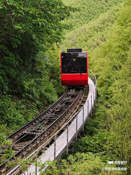 天目湖南山竹海景区 - 常州市旅游