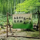 天目湖南山竹海景区 - 常州市旅游 缩略图 2