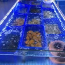 好客来海鲜蒸汽火锅(东山岛店) - 漳州市旅游 缩略图 3