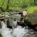 北京松山森林旅游区 - 北京市旅游 缩略图 1