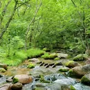 北京松山森林旅游区 - 北京市旅游 缩略图 9