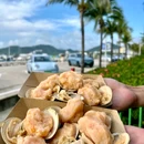 海南特色小吃店花姐甜品(群众街店) - 三亚市旅游 缩略图 6