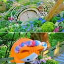 吴山景区-城隍阁 - 杭州市旅游 缩略图 9