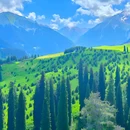 恰西草原风景旅游区 - 伊犁哈萨克自治州旅游 缩略图 1