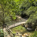 紫云谷景区 - 肇庆市旅游 缩略图 7