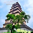 西安大雁塔 - 西安市旅游 缩略图 2
