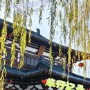 华清宫景区 - 西安市旅游 缩略图 2