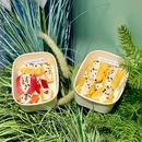万季公寓(佛山龙江盈信广场店) - 佛山市旅游 缩略图 5